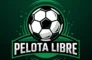 PelotaLibre Hub